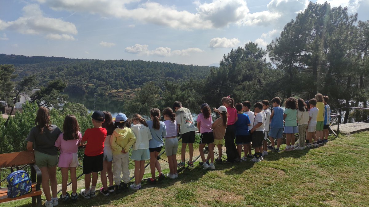 IvanHBST tweet media