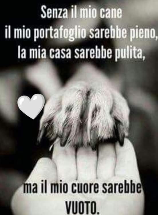 ManuelR98018661's tweet image. Vero
