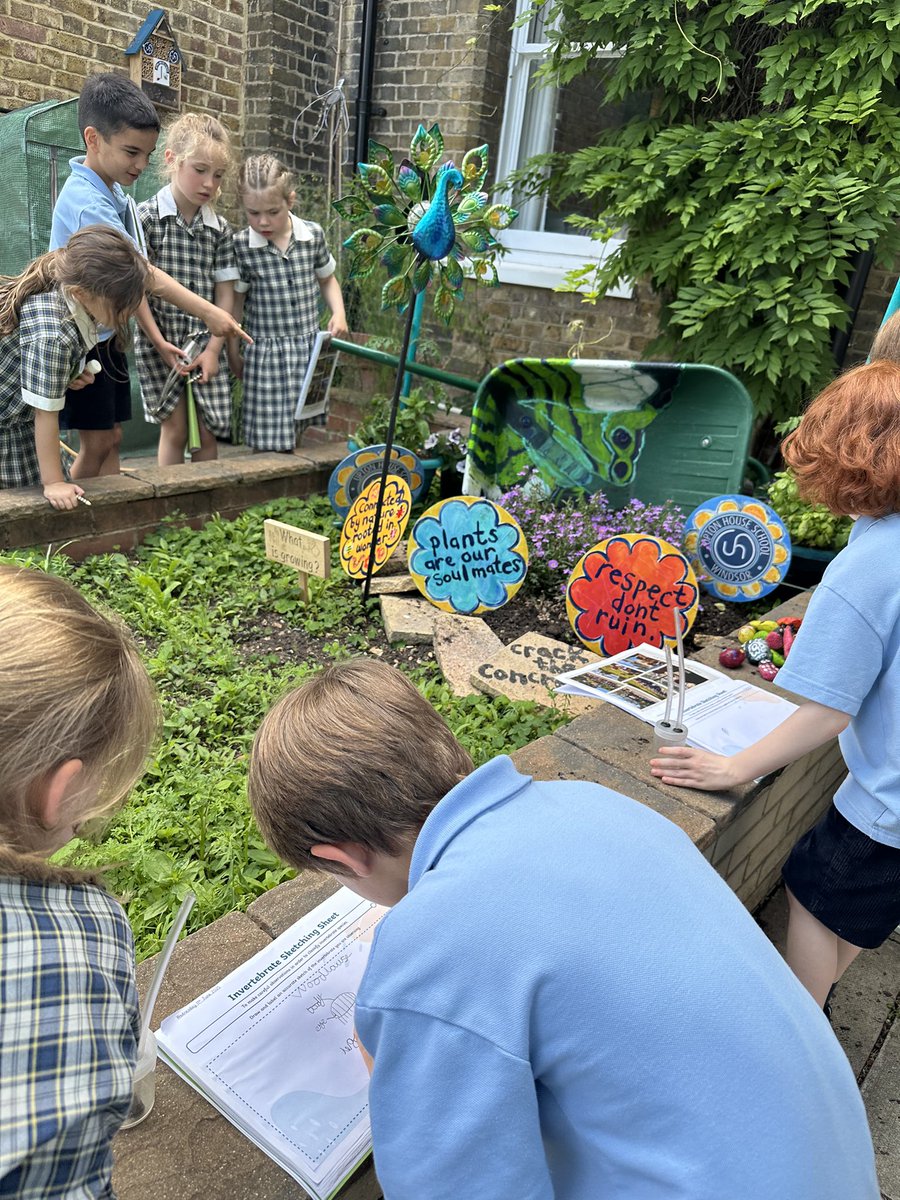 Upton House Pre Prep (@uptonpreprep) on Twitter photo Super scientists in Form 1M! We loved using the pooters for our invertebrate hunt for observational sketches. We carefully searched the school grounds, finding many woodlouse, ants, a spider, a fly and a ladybird! Great work 1M! <a href="/UptonSciences/">Upton House Science</a> <a href="/UptonArt/">Upton House Art</a> #UptonJourney #UptonLOtC Super scientists in Form 1M! We loved using the pooters for our invertebrate hunt for observational sketches. We carefully searched the school grounds, finding many woodlouse, ants, a spider, a fly and a ladybird! Great work 1M! <a href="/UptonSciences/">Upton House Science</a> <a href="/UptonArt/">Upton House Art</a> #UptonJourney #UptonLOtC