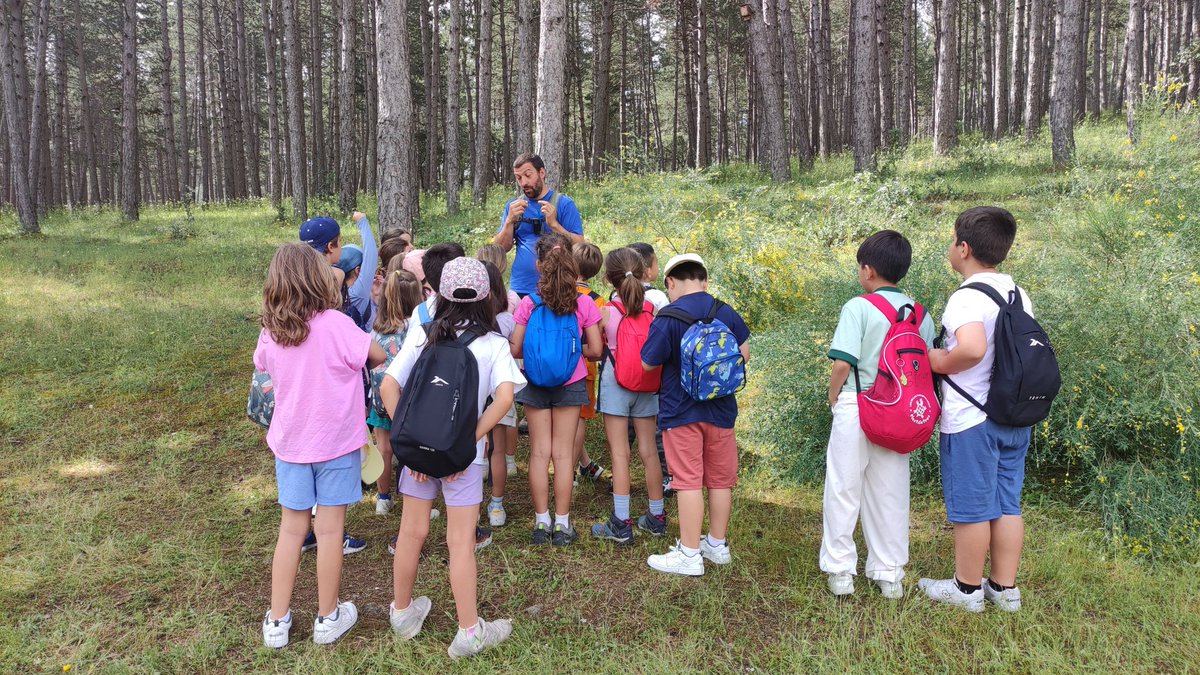 IvanHBST tweet media