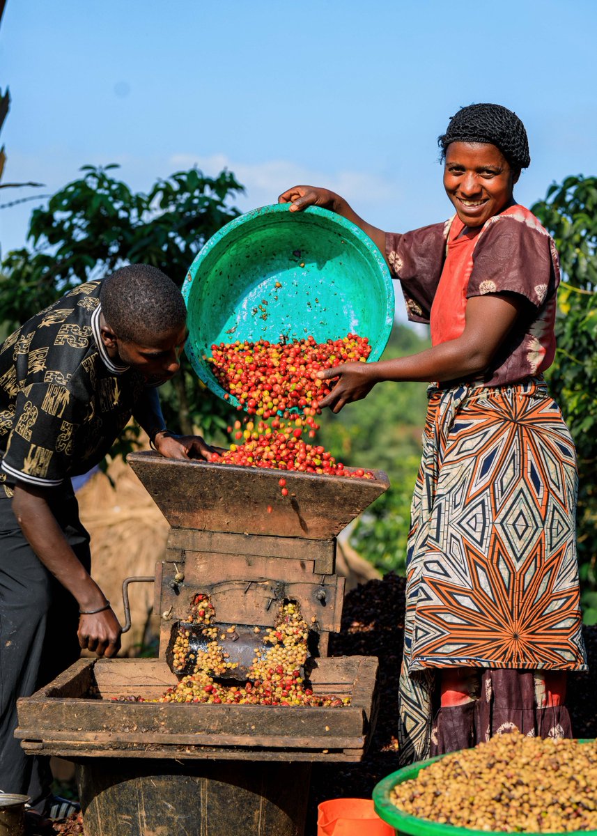 Save the Children - DRC (@drc_sci) on Twitter photo À #Kalehe, Marie Rose* a transformé sa vie grâce à l’assistance monétaire reçue de <a href="/DRC_sci/">Save the Children - DRC</a> en partenariat avec <a href="/ApedcRdc/">APEDC-RDC</a>.
Elle vend des cafés permettant de subvenir à leurs besoins et ses 3 enfants désormais vont à l’école grâce à l’appui financier de Fonds humanitaire #RDC. À #Kalehe, Marie Rose* a transformé sa vie grâce à l’assistance monétaire reçue de <a href="/DRC_sci/">Save the Children - DRC</a> en partenariat avec <a href="/ApedcRdc/">APEDC-RDC</a>.
Elle vend des cafés permettant de subvenir à leurs besoins et ses 3 enfants désormais vont à l’école grâce à l’appui financier de Fonds humanitaire #RDC.