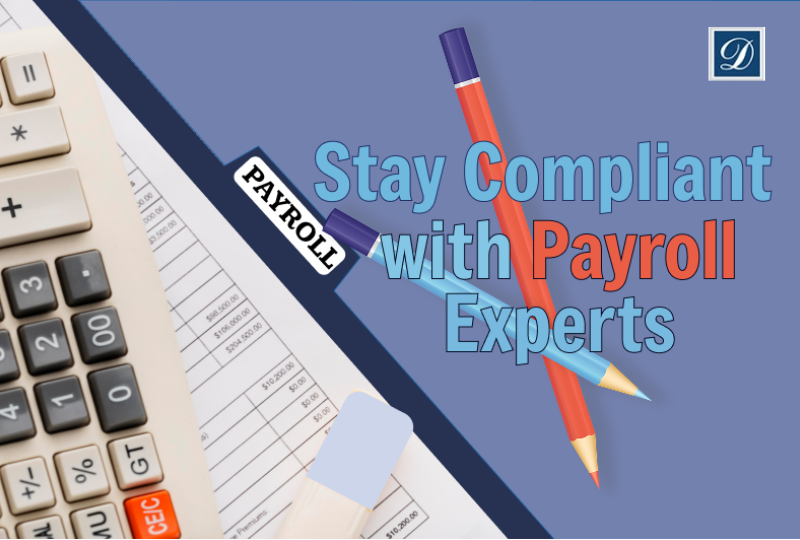 Payroll giving you a headache? 💼
Our compliant, simple payroll services ensure timely pay, HMRC compliance, and stress-free support.
✅ Quick setup
✅ Expert help
✅ Peace of mind

Read More :- bit.ly/4jJEo6U

#PayrollServices #PayrollCompliance #PayrollProcessing