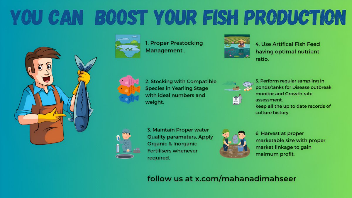 MahanadiMahseer's tweet photo. 🌊 “From Pond to Profit”🐟 Learn small-scale fish farming in #Odisha .Easy steps, big returns! 💰👇 #AgriTwitter #FishForLife
👇 Comment for queries.
@OdishaFisheries @farddepartment @FisheriesGoI @nfdbindia @GokulanandaBJP #Airindia https://t.co/BxgcISS7CJ
