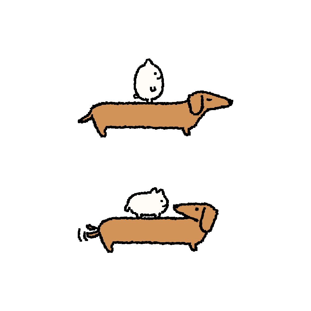 고냥미 (@babgobong) on Twitter photo 