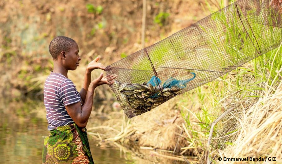 #FISH4ACP at #UNOC on financing fisheries &amp; aquaculture 🎣
Linking up to formal banking key to unlock finance for fishing communities
Pierre Guillibert GIZ Global Project Lead Fisheries &amp; Aquaculture
🔗bit.ly/4dMwata
#WeAreTheOcean <a href="/EU_Partnerships/">EU International Partnerships 🇪🇺</a> <a href="/BMZ_Bund/">Bundesentwicklungsministerium</a> <a href="/PressACP/">OACPS Secretariat</a>