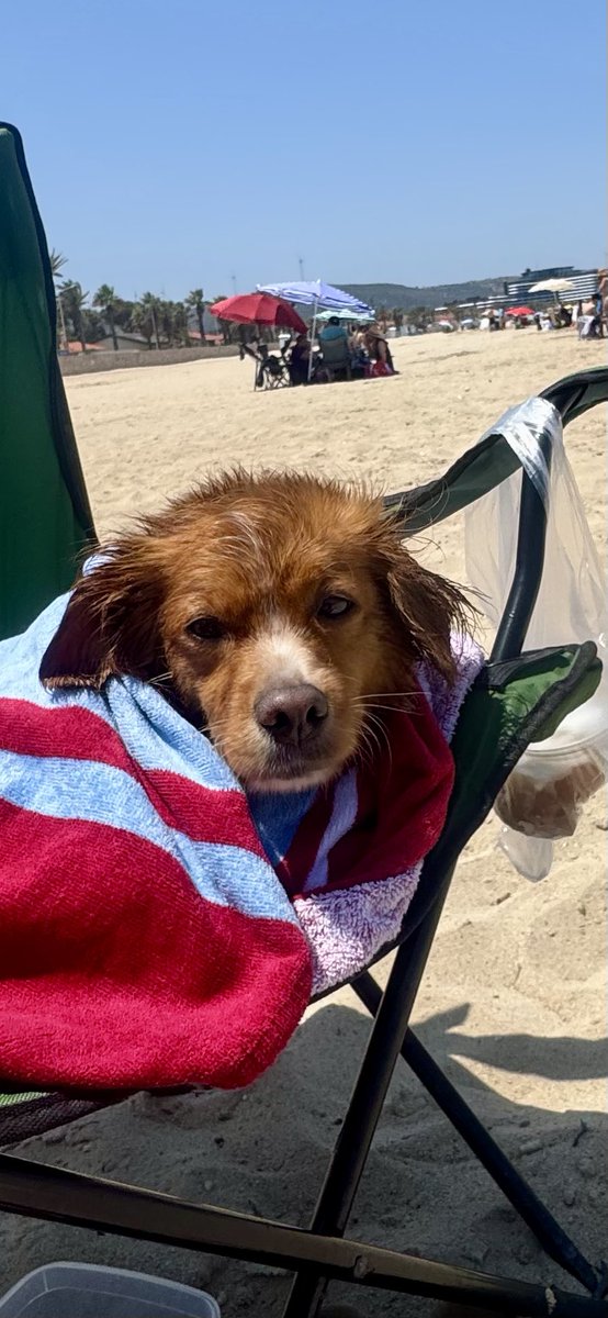 Çok iyi yüzüyor. İnanılmaz iyi