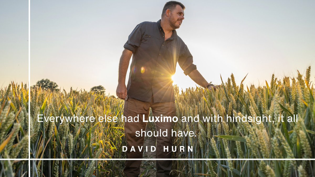Even those fields with a low weed count can soon become a problem🌾
This was the #Luximoment of Truth for David Hurn was the realisation that using Luximo everywhere last autumn would have not given black-grass a chance.
Hear more about David's story here: bit.ly/4kA47jj