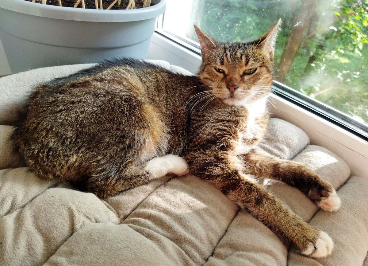 Вчера у нас был День Поноса и Невроза.
Понос был у Гусеницы по причине "подло и коварно сожрала еду, оставленную без присмотра буквально на 5 секунд", невроз был у меня по причине "понос у Гусеницы".

Раскаяние, стыд и другие ымоции, которые самодовольная Гусеница не испытывает.