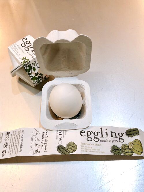 asattetanosiku's tweet photo. 以前購入していたegg ling
梅雨時の多湿な今がいいかも、と開封〜栽培トライ👌
卵そのもの🥚!(←陶器だったみたい)
カワイイ💖
説明書に優しく叩いて割るように⚠️とあったけど、なかなか割れないから、卵を割るかの如く叩いたら割れた…😅
育ってくれるといいな🌱
#eggling #家庭菜園 https://t.co/FUNCM8Jf1N