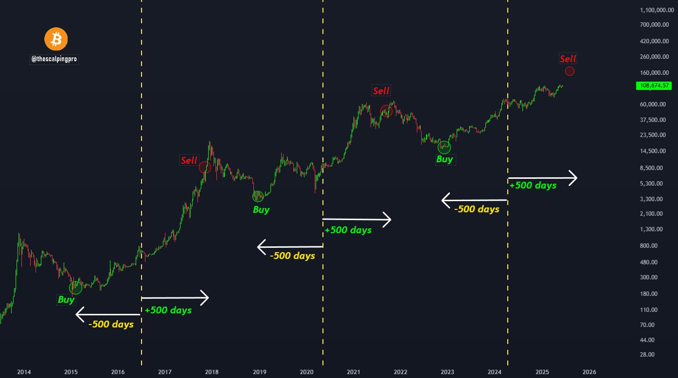 Bitcoin Cyclical Movements Around the Bitcoin Halving Mags