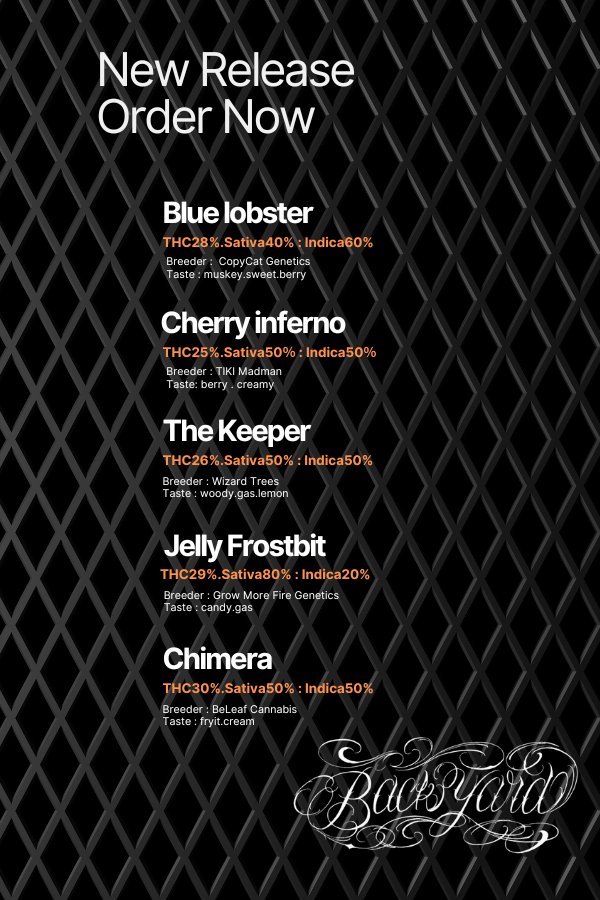 Back yard@official tweet media