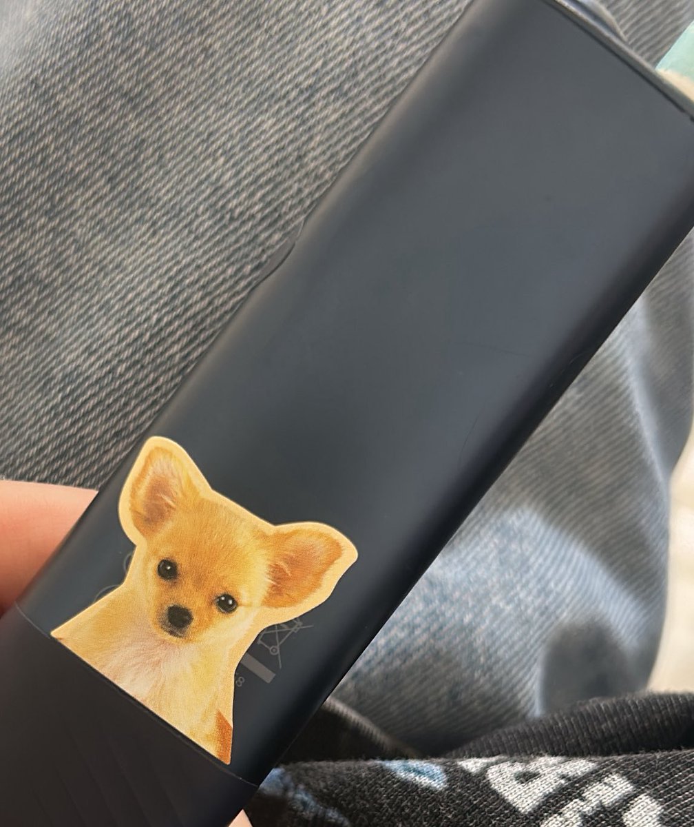 これ買ってからすべての私物がこう