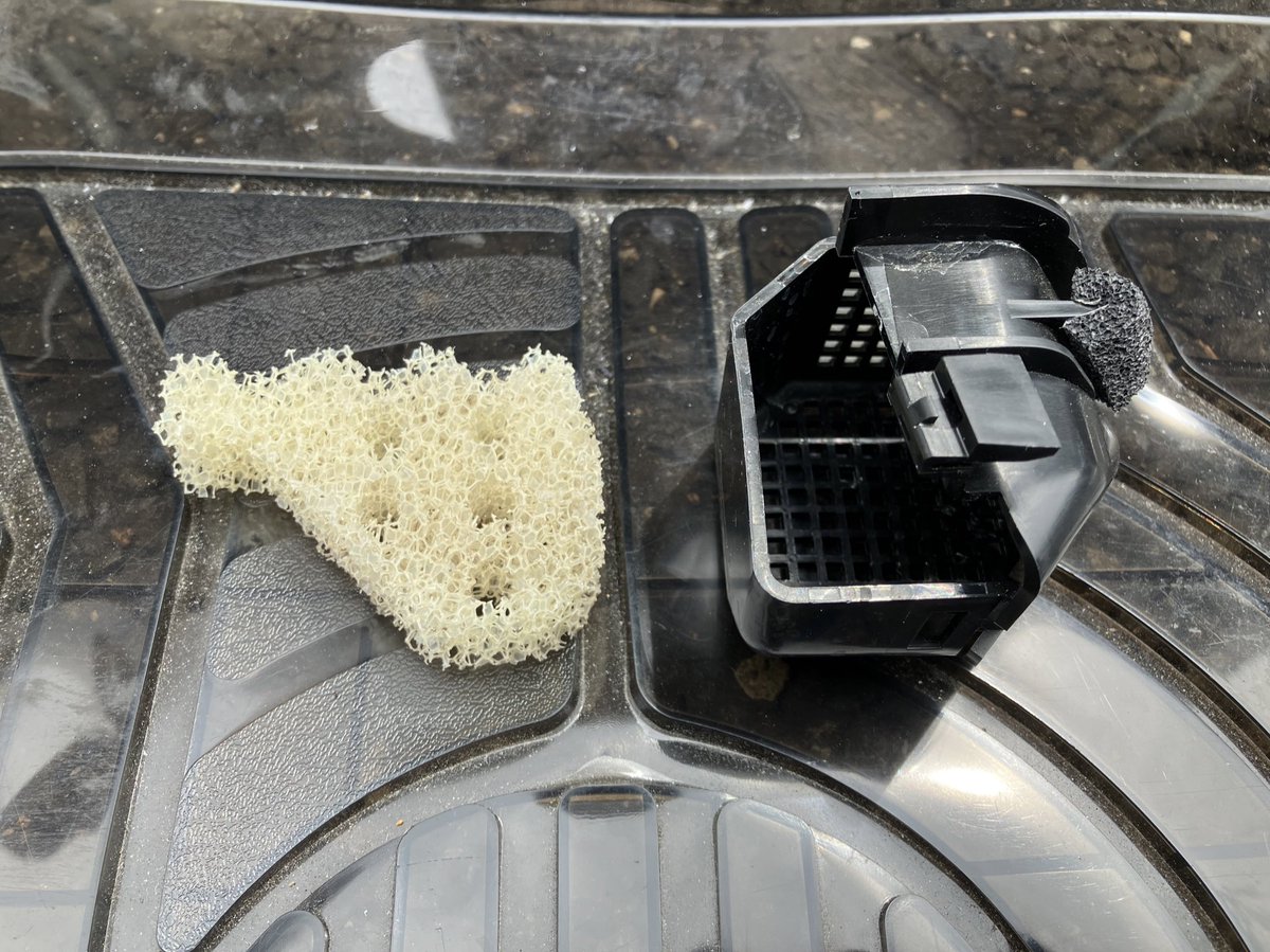 梅雨前にドレン清掃
思ったより綺麗でした。