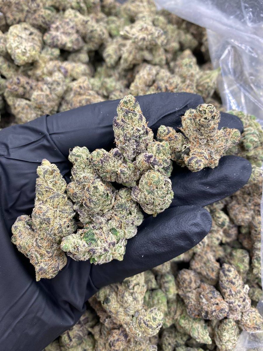 Grape Gasoline 🍇⛽️

stonies.shop/?ref=STONERS