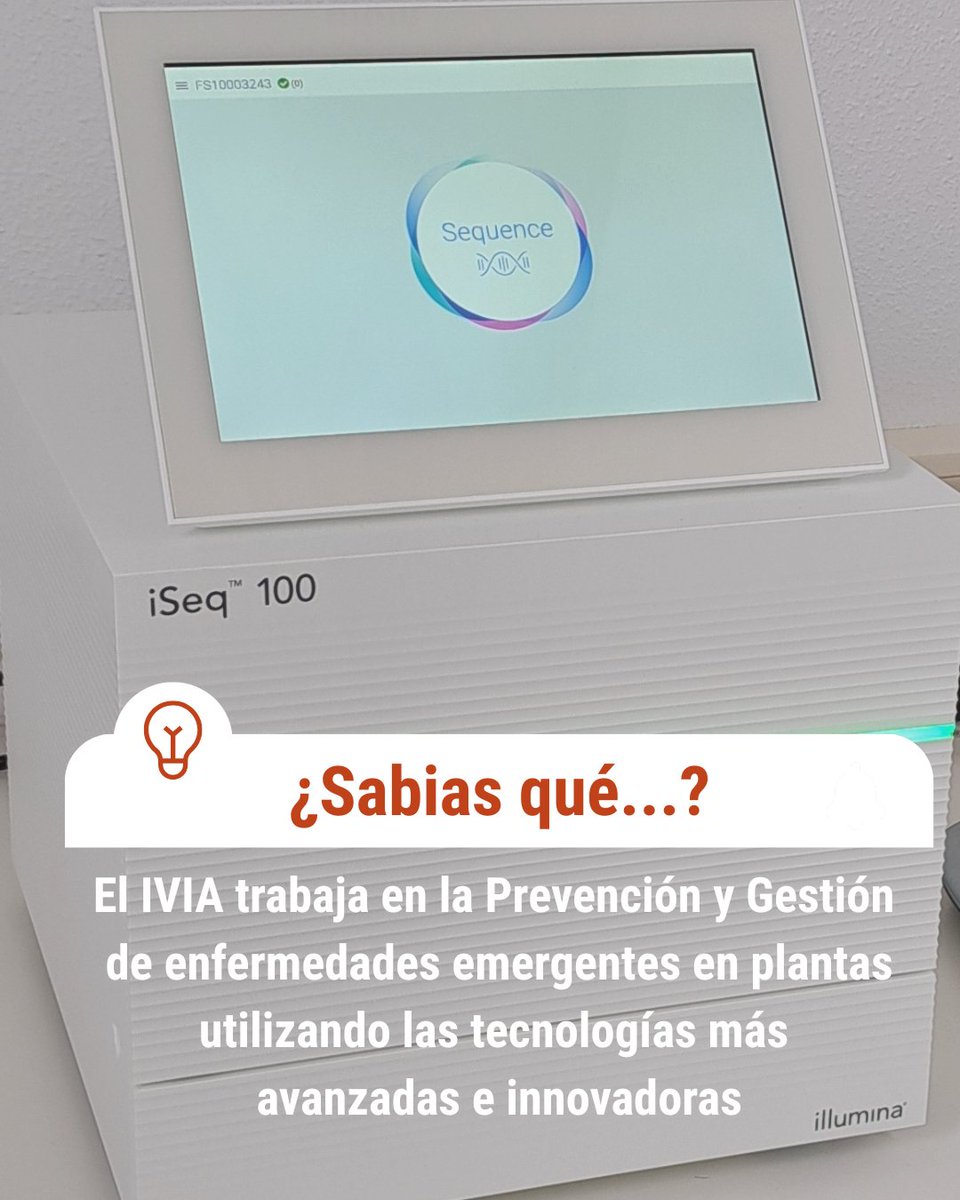 🧫El Grupo de Prevención y Gestión de Enfermedades Emergentes en Plantas🌱del <a href="/GVAivia/">IVIA</a> , formado por expertos en Micología, Bacteriología y Virología, desarrolla métodos de diagnóstico para proteger los cultivos de la C. Valenciana frente al ataque de enfermedades devastadoras 🦠