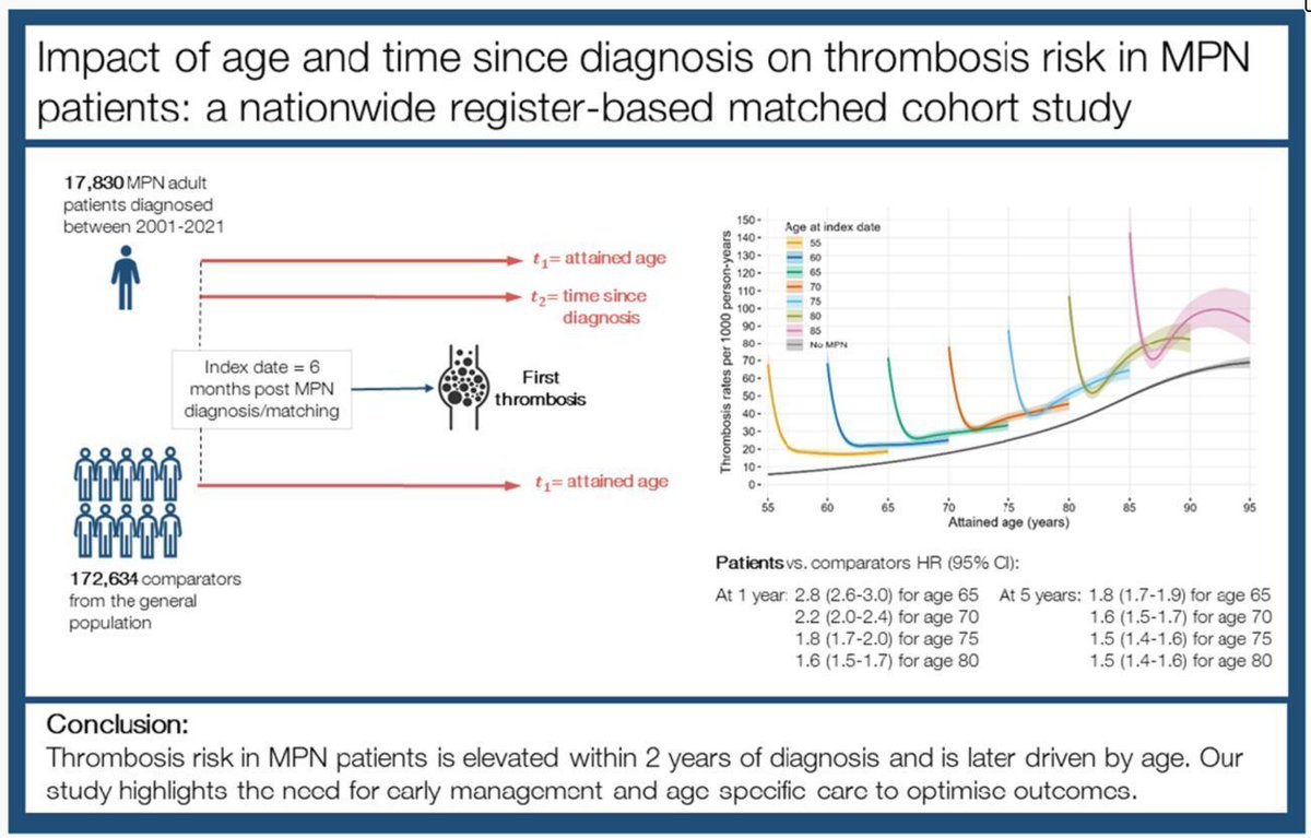 Thrombosis risk in MPN patients peaks within 2 years of diagnosis and is later driven by age. This nationwide study highlights the need for early management and age-specific care to optimise outcomes. 
buff.ly/SdEag9q