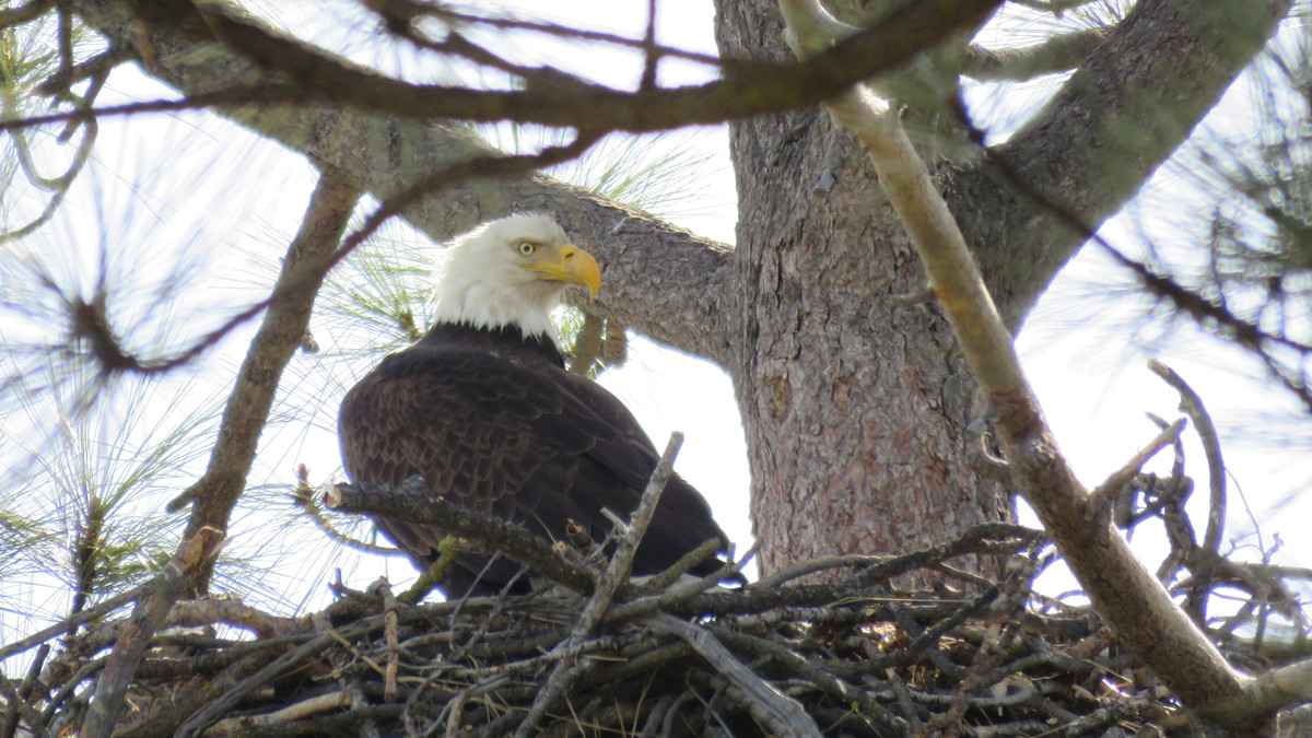 EL INFORMADOR DEL VALLE tweet media