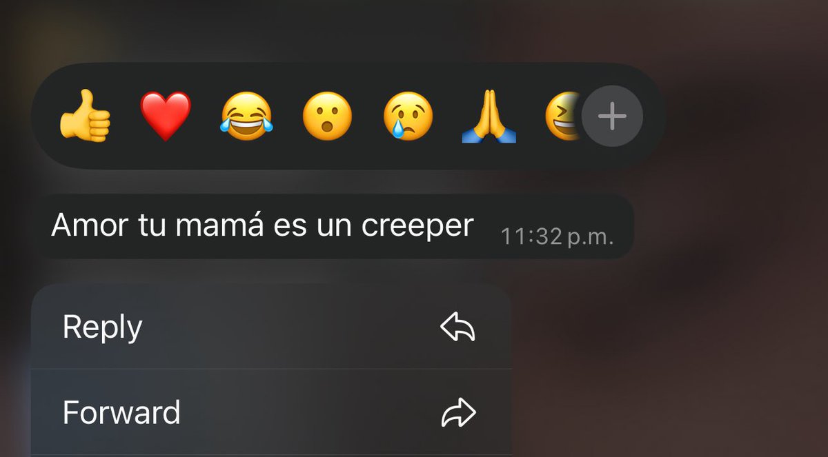 Mi mamá porque le tiene miedo a los gatos 🥀
