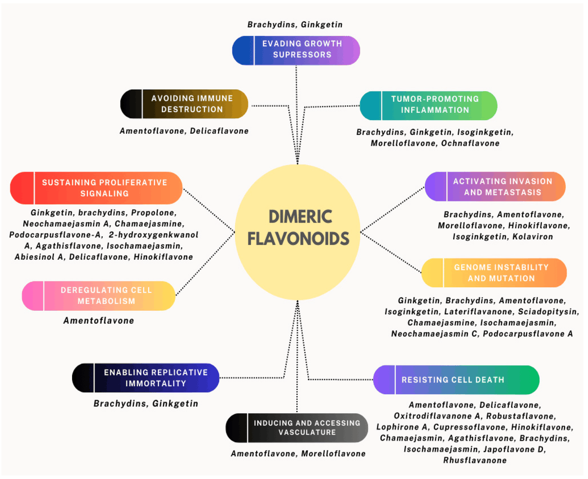 🔬Title: An Overview of the Therapeutic Potential of Dimeric Flavonoids for Targeting Cancer Hallmarks
✒️Authors: Inês Lopes et al.
🔑Keywords: cancer; drug resistance; dimeric flavonoids; hallmarks
🔗mdpi.com/3133386