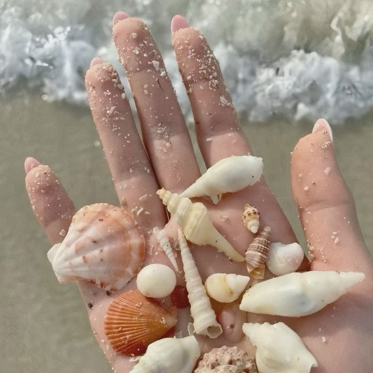 ⠀
⠀ ⠀ ⠀ .ᐟ ⠀🫧 ⸝⸝ 𝑀ои мечты о жизни в пляжном домике у моря становятся сильнее меня. ࿐·˚ ༘  🐚 ˖ ⸝⸝

⠀