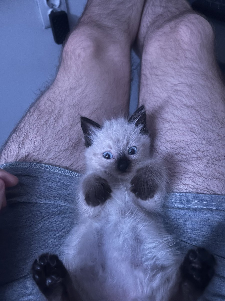 I am a father now and this is my child😼