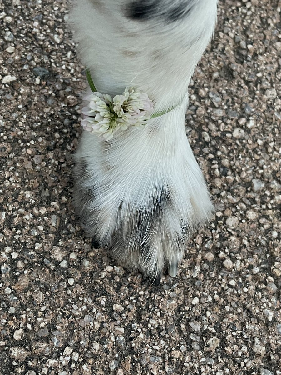 폿𝚙𝚘𝚝 (@plant_objet_tip) on Twitter photo 