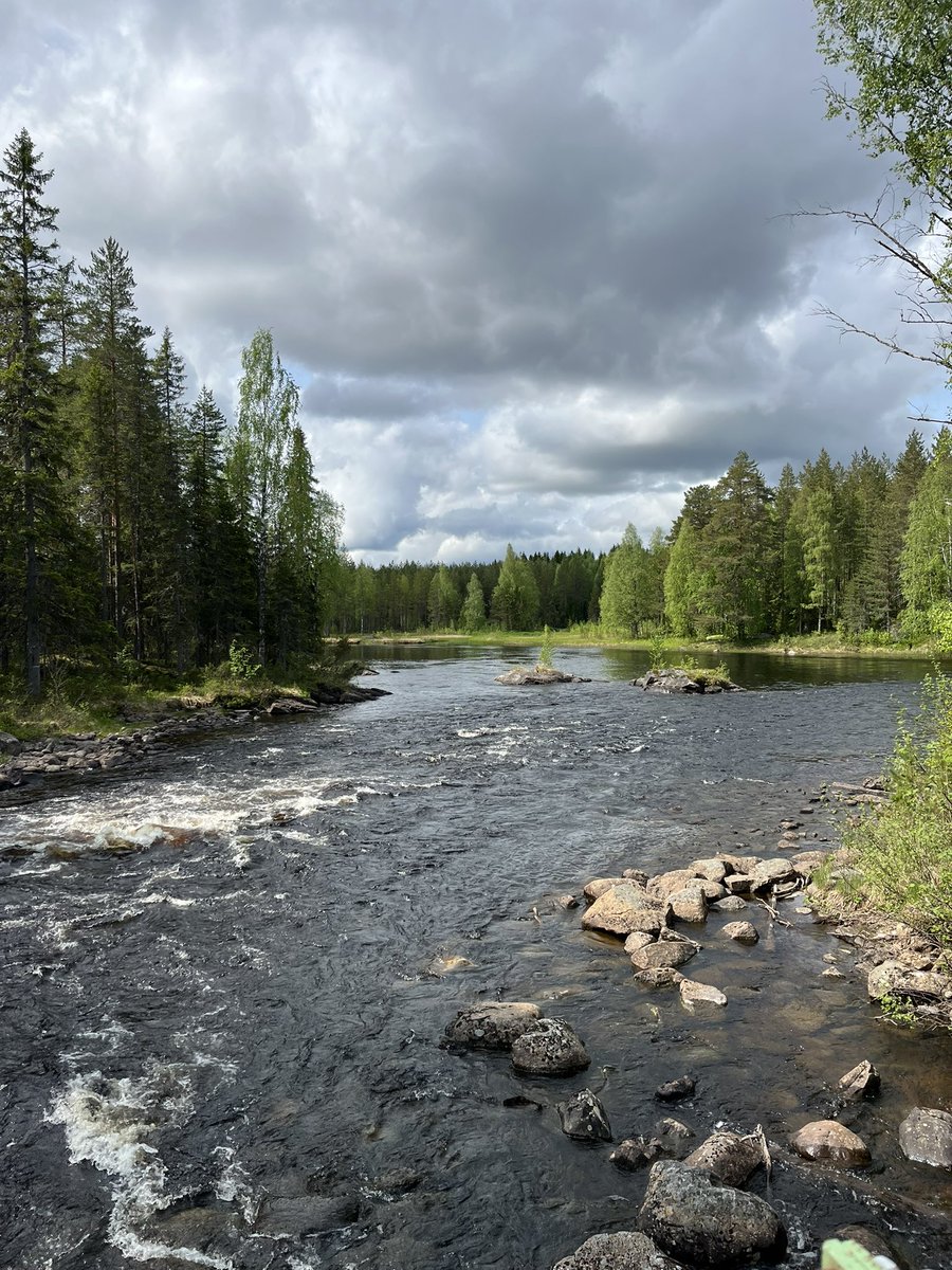 Poliisipäällikkö (@holopainensampp) on Twitter photo Yhteistyötapaaminen Lieksan suunnalla ja perinteinen rajapartio komentajan <a href="/MPitkaniitty/">Matti Pitkäniitty</a> kanssa. Viikkoliikunta tuli samalla hienoissa maisemissa. Kiitos järjestelyistä. <a href="/PKarjalan_raja/">P-Karjalan raja</a> <a href="/PoliisiIS/">Itä-Suomen poliisi</a> Yhteistyötapaaminen Lieksan suunnalla ja perinteinen rajapartio komentajan <a href="/MPitkaniitty/">Matti Pitkäniitty</a> kanssa. Viikkoliikunta tuli samalla hienoissa maisemissa. Kiitos järjestelyistä. <a href="/PKarjalan_raja/">P-Karjalan raja</a> <a href="/PoliisiIS/">Itä-Suomen poliisi</a>