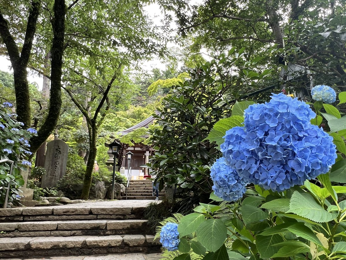 邱小黑 tweet media