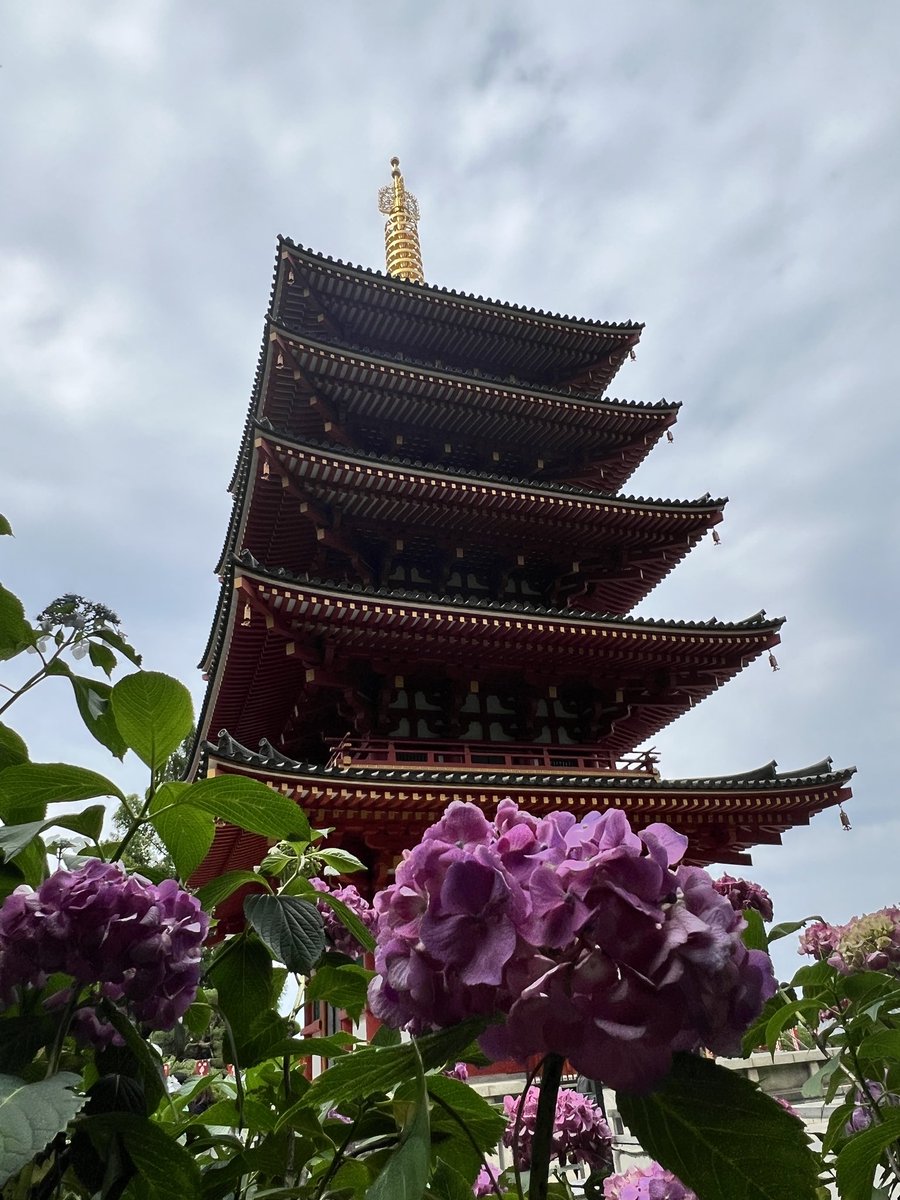 邱小黑 tweet media