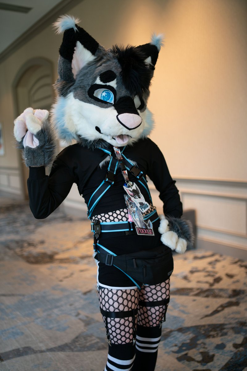 Why did nobody tell me it was #InternationalLynxDay today😿

#FursuitFriday