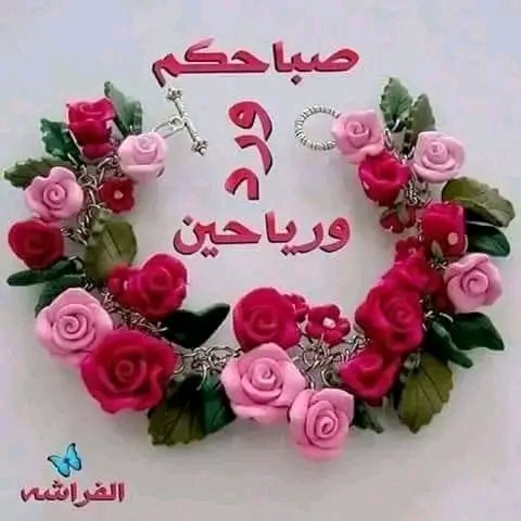 سالم صالح المخيري. بديل4 (@almkhyrysa64812) on Twitter photo 