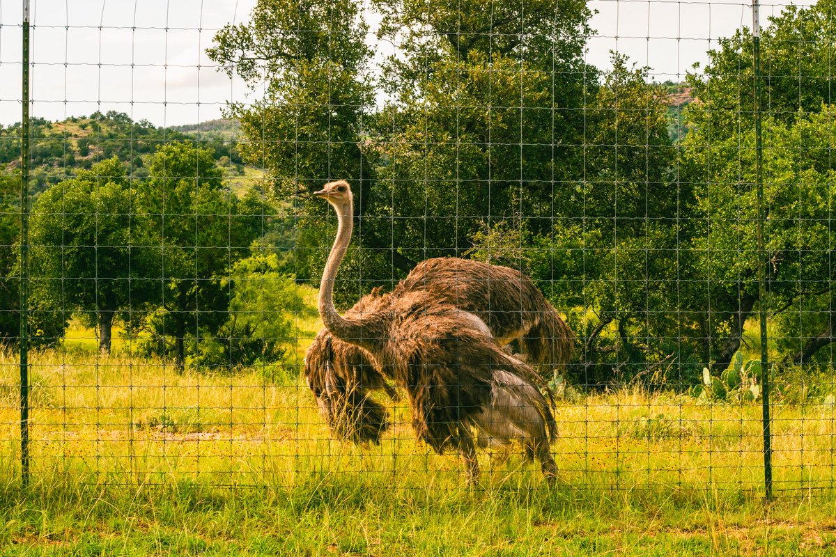 I have a light box tweet media