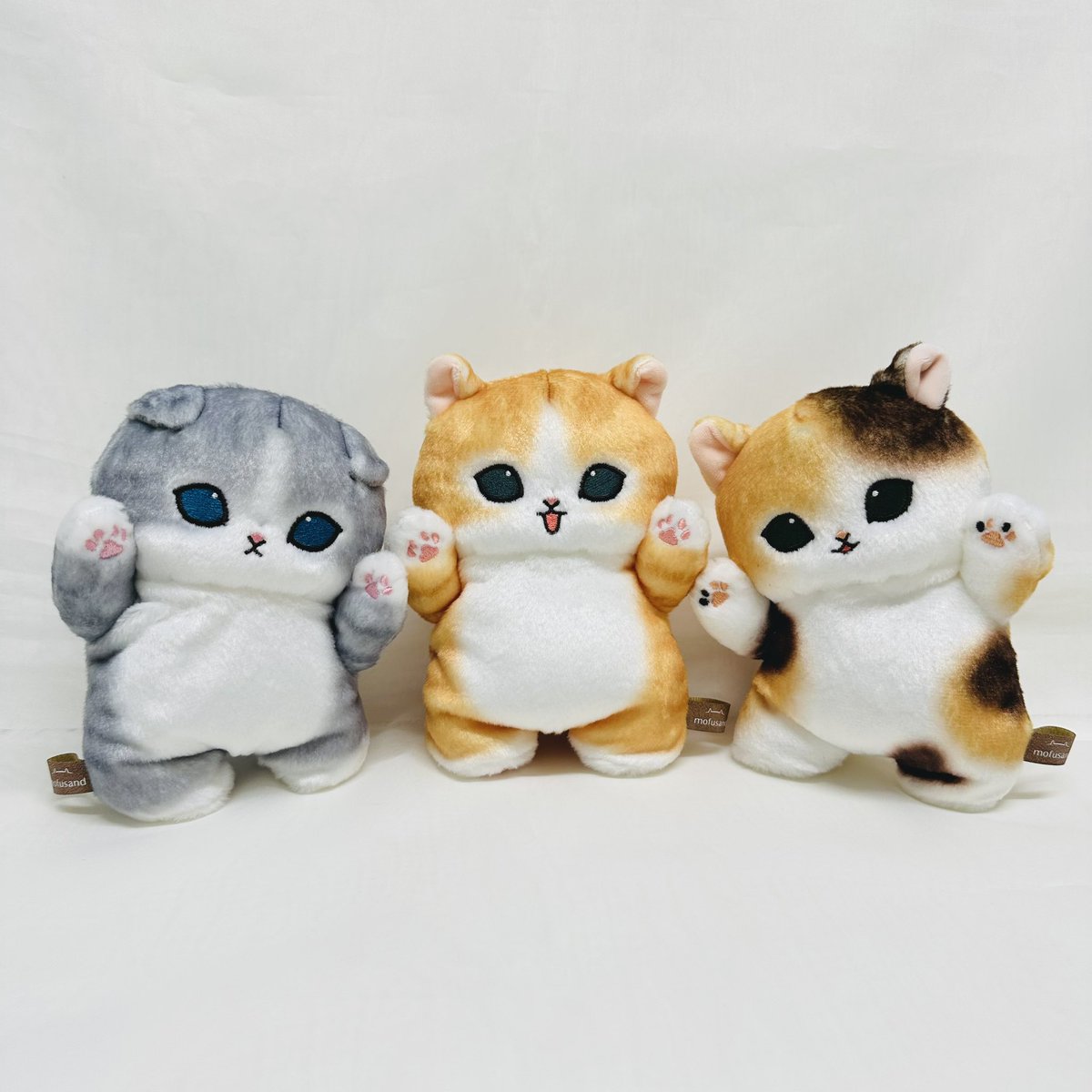 mofusandもふもふストア東京駅 ⭐️新商品のご紹介⭐️ ○ひょっこり