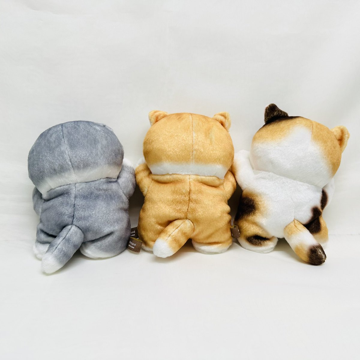 mofusandもふもふストア東京駅 ⭐️新商品のご紹介⭐️ ○ひょっこり