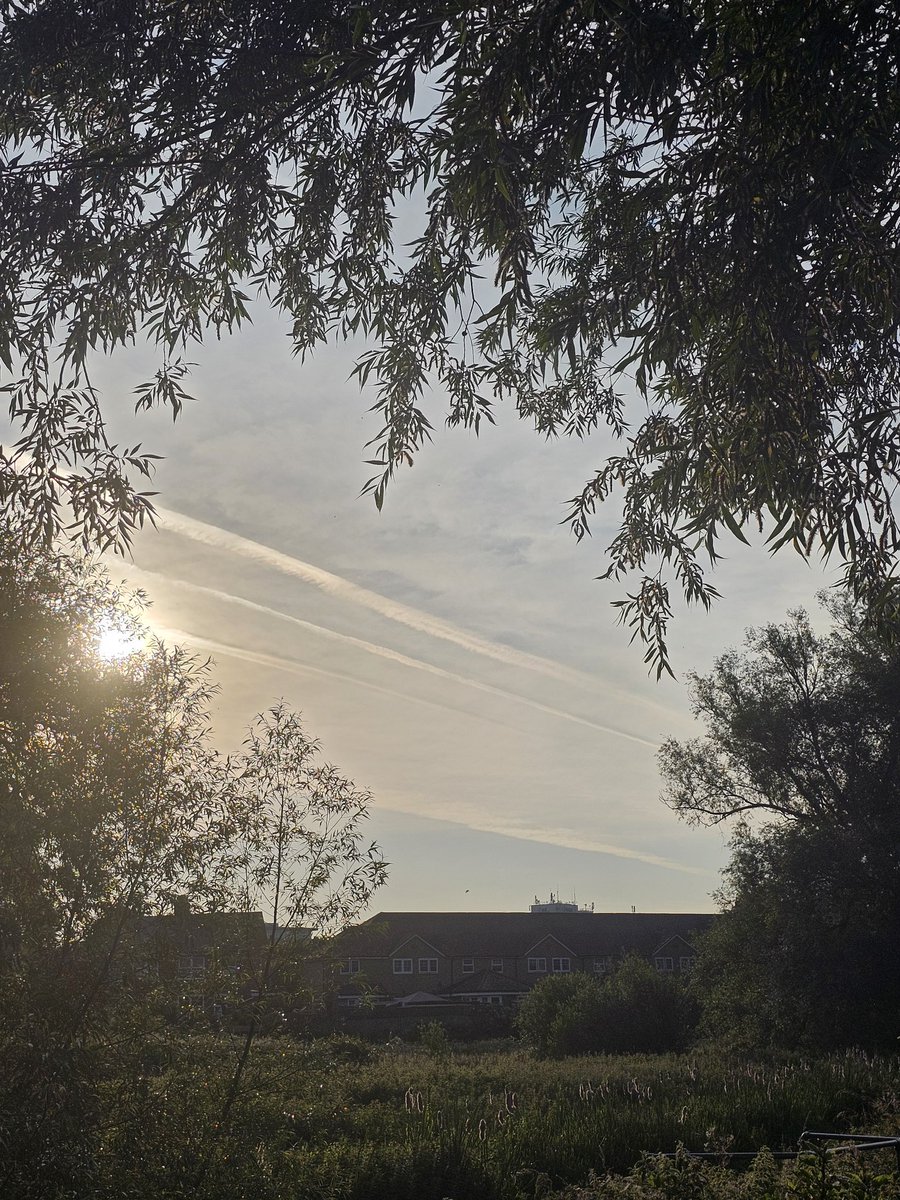 Real_Fat_Shady's tweet image. It's going to be a lovely sunny day here in Kent....Not!

#geoengineering #sunblocking