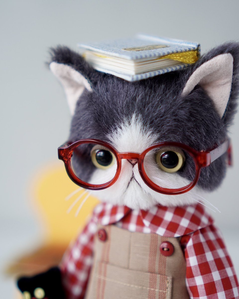 .
梅雨入りしました☔️

雨の日はおうちで読書𓂃📚

 #ExoticShorthair #plushie #plushart
#handmade #エキゾチックショートヘア #plushielove
 #plushiecollection #ぬいぐるみ #plushie