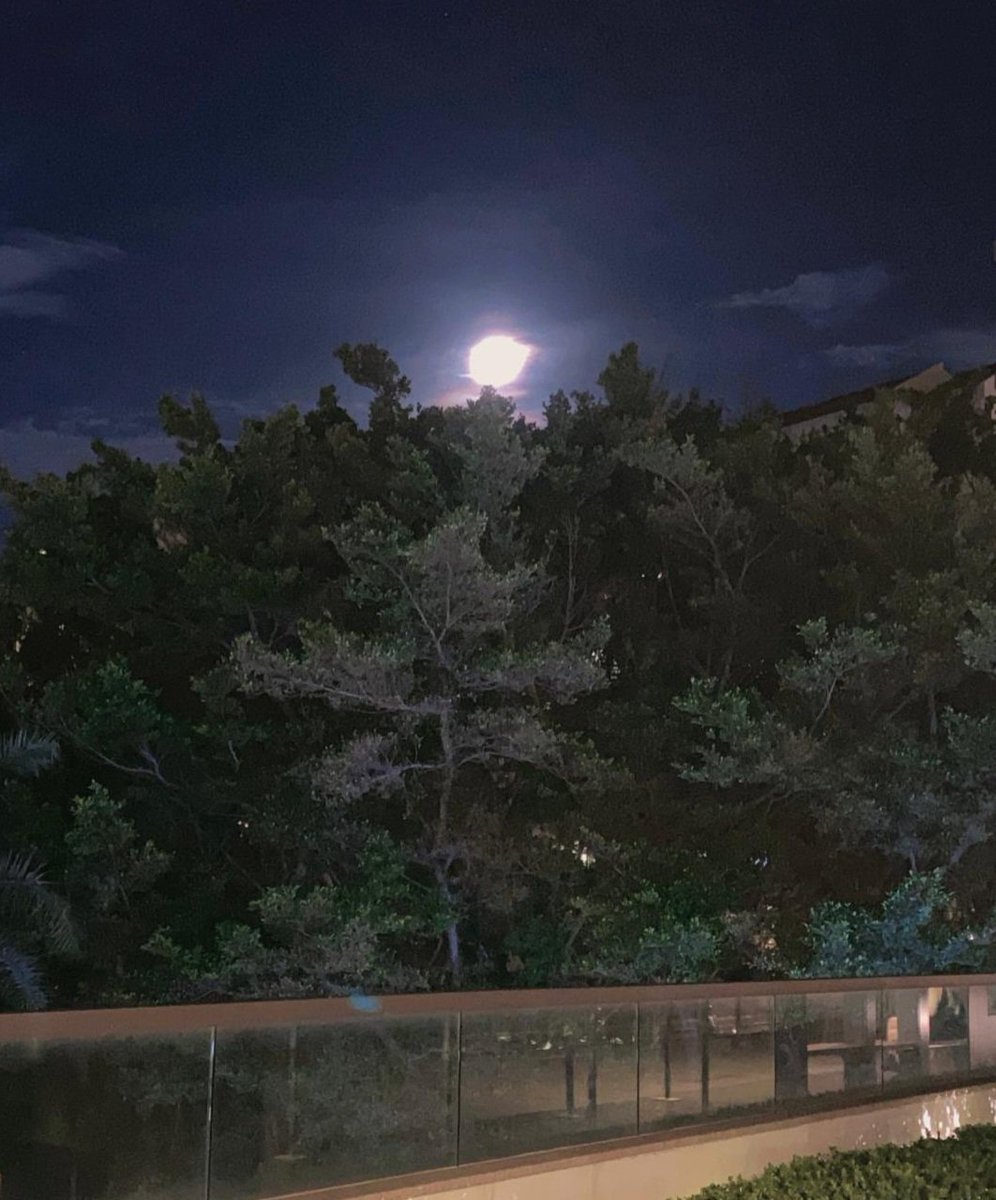 Thankful Thursday Everyone ☕️☕️🍐🥐🌻🌾🌼🌳🌴🐾☀️🌈Be Kind, Be You, Be Grateful 🤗🤗🤗