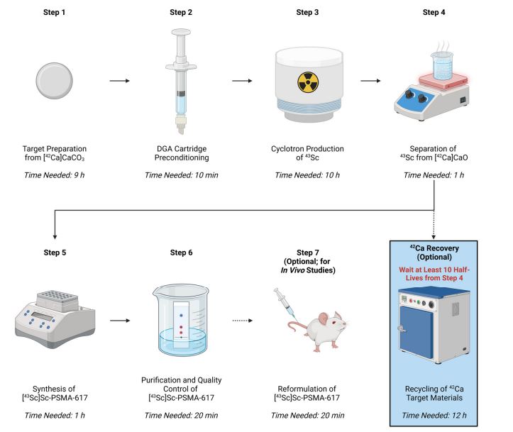 🥳🥳Welcome to read the paper by Jason P. Meier et al. | Synthesis of DOTA-Based 43Sc Radiopharmaceuticals Using Cyclotron-Produced 43Sc as Exemplified by [43Sc]Sc-PSMA-617 for PSMA #PETImaging
👉mdpi.com/2409-9279/8/3/…
#theranostics #oncology #radiochemistry #prostatecancer