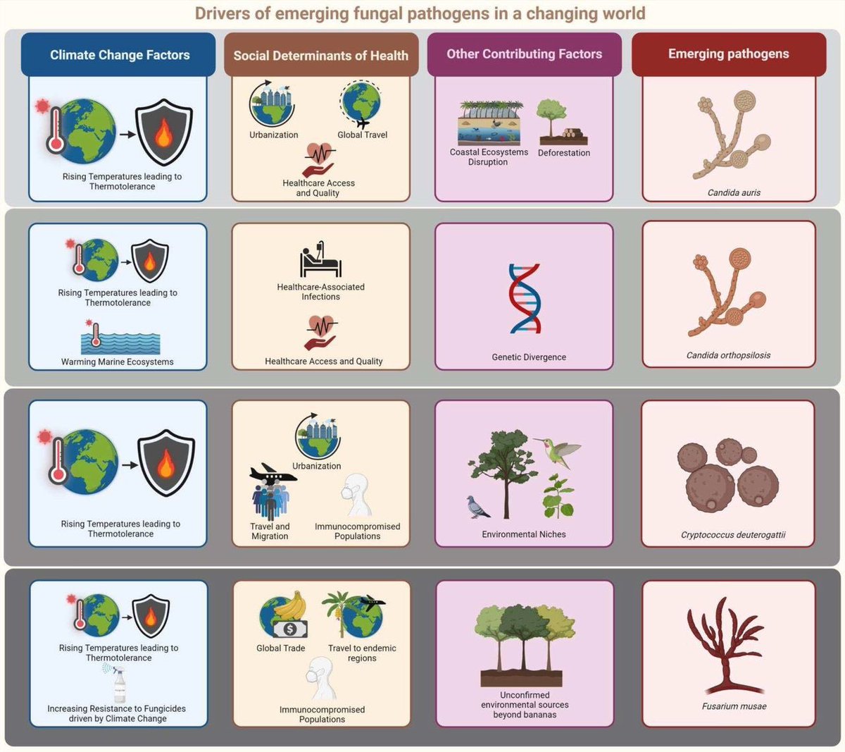 Norman van Rhijn tweet media