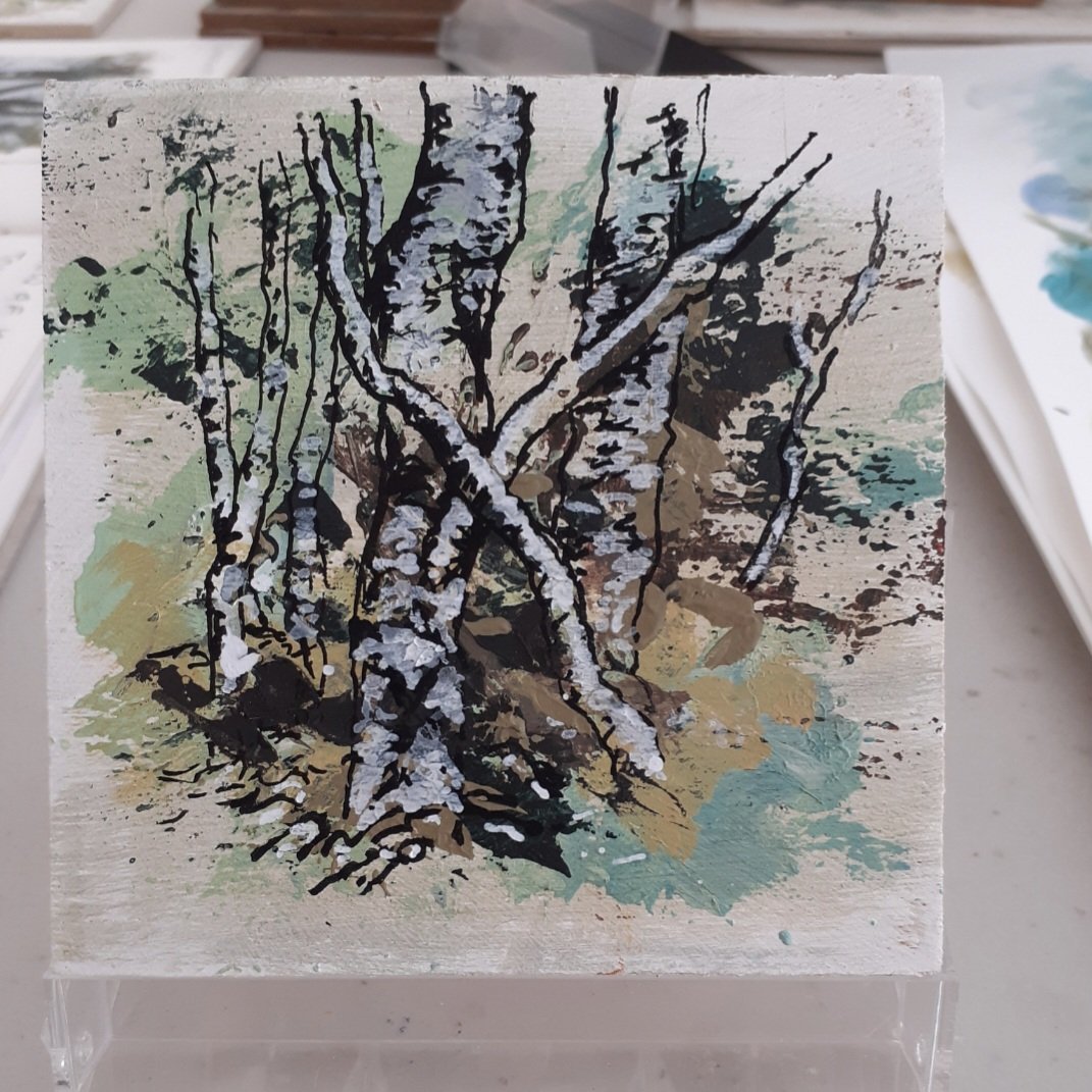 I will be opening my studios again this Saturday 14th June,  many visitors last weekend and hopefully more. 
Asylum Studios Rendlesham,  info and directions in the Suffolk Open Studios brochure or on the app.

@suffolkopenstudios.org 

#suffolkopenstudios #art #Studios