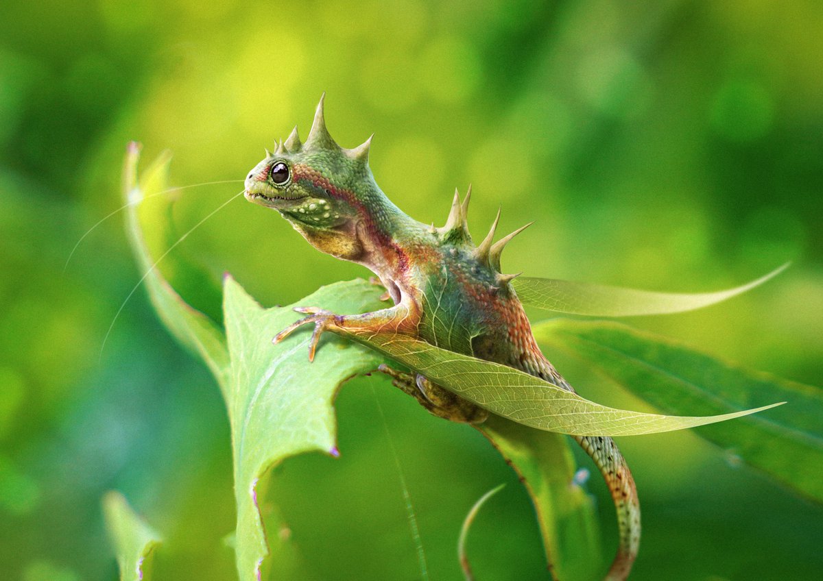 DragonsofWales 🇪🇺🏴 tweet media