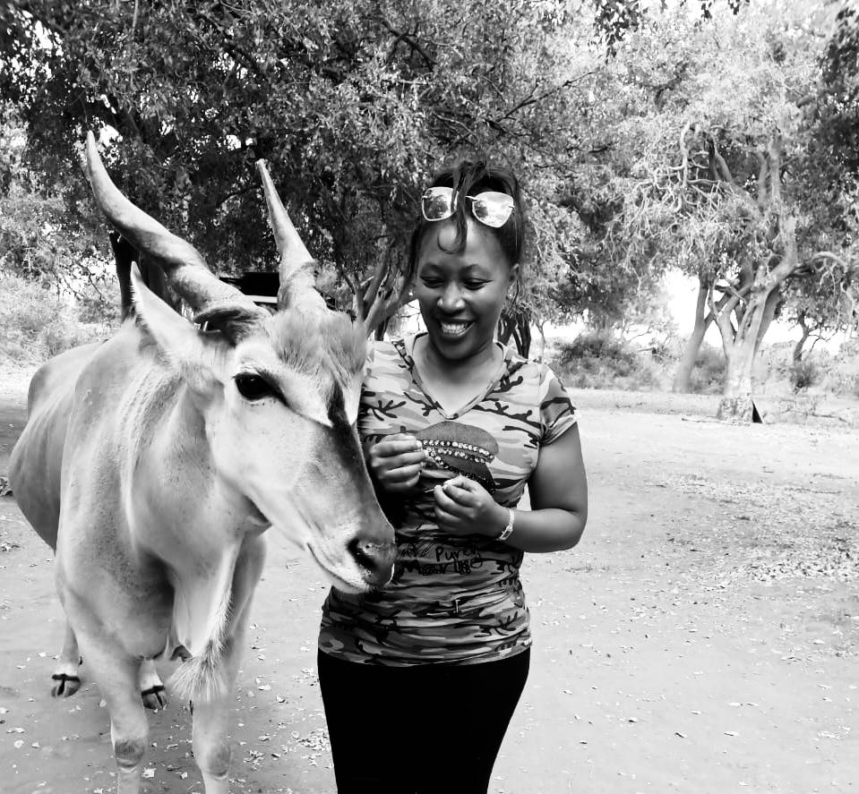 FlyingDoveTours's tweet photo. Did you know that Eland  is  the world's largest antelope? Well I thought you should know.follow us for more amazing fact's on Flora and Fauna. https://t.co/DrrR2K3feF https://t.co/JtE8Ka137G