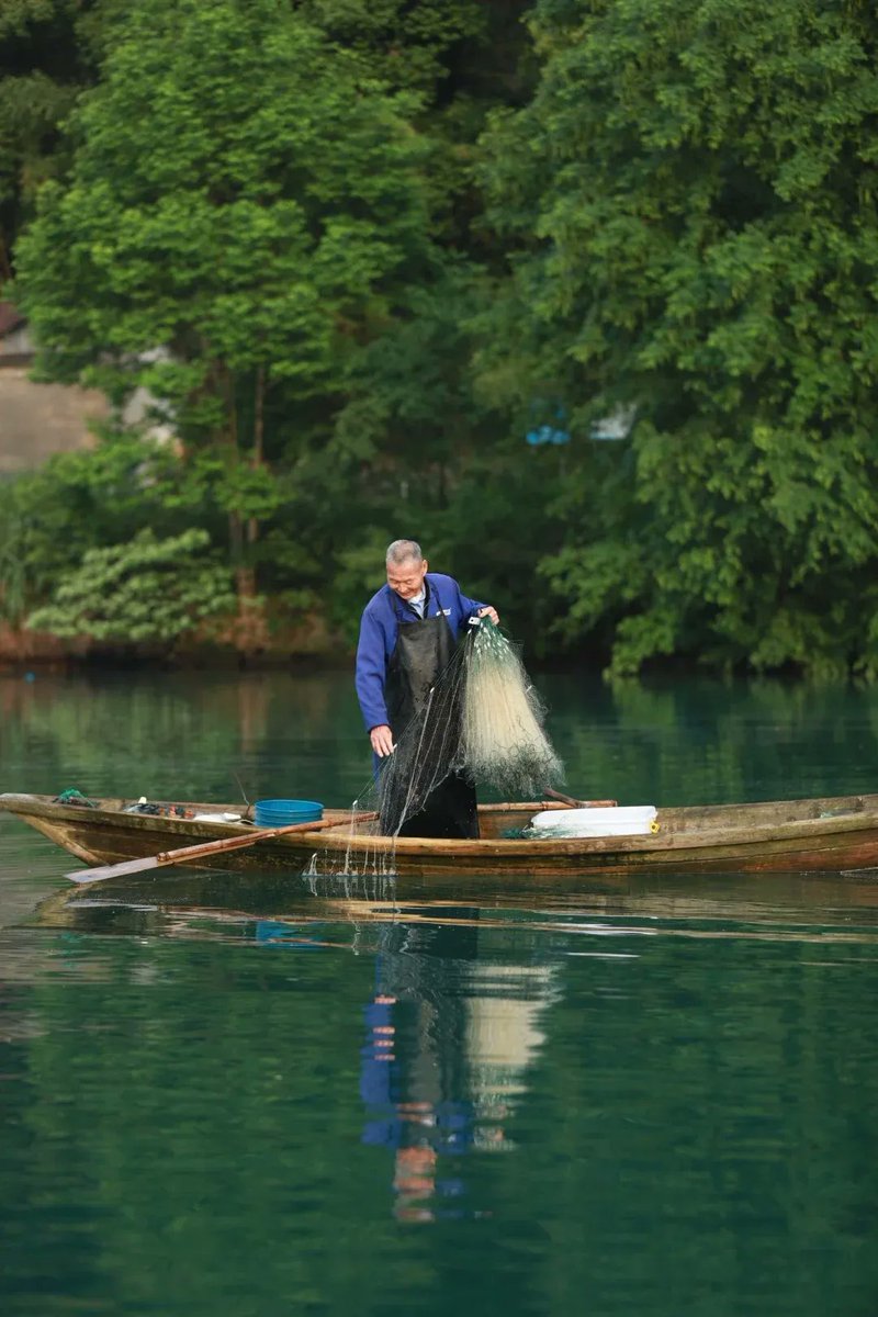 FancyNHuu's tweet image. Office warriors’ weekend hack: ditch the work vibe, run wild in the wetlands! 🌾💨
#WeekendEscape #WorkDetox #IntoTheWild