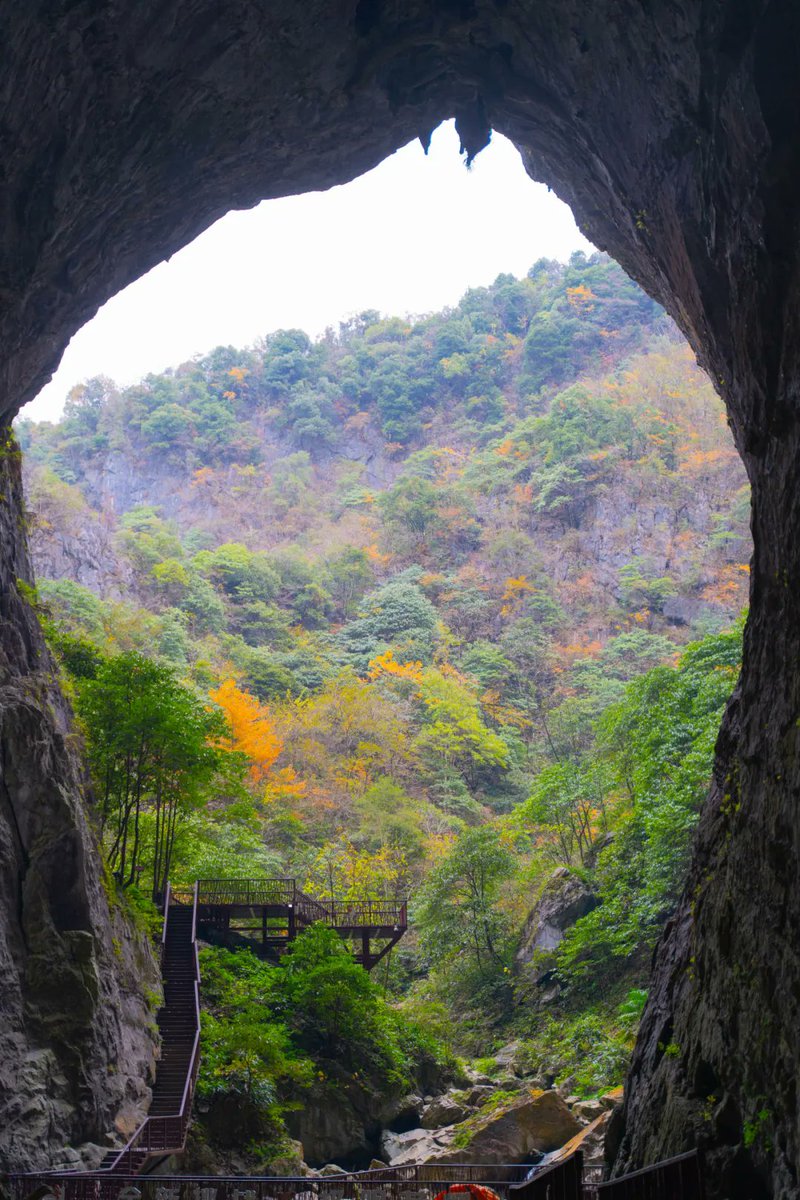 FancyNHuu's tweet image. Office warriors’ weekend hack: ditch the work vibe, run wild in the wetlands! 🌾💨
#WeekendEscape #WorkDetox #IntoTheWild