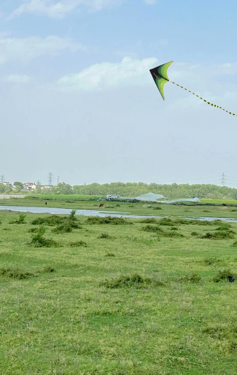 FancyNHuu's tweet image. Office warriors’ weekend hack: ditch the work vibe, run wild in the wetlands! 🌾💨
#WeekendEscape #WorkDetox #IntoTheWild