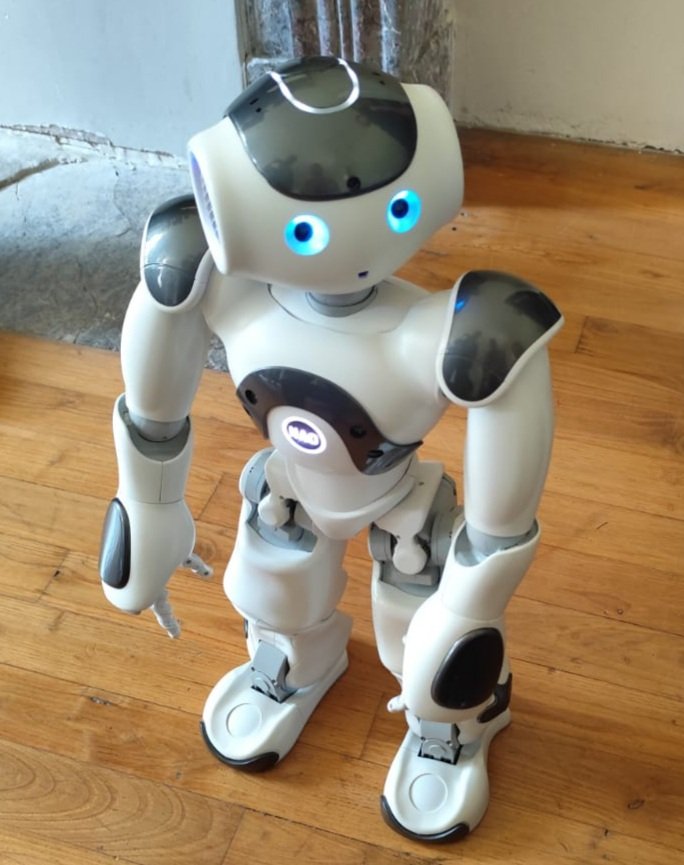 S. Meslin Saint-Jean tweet media