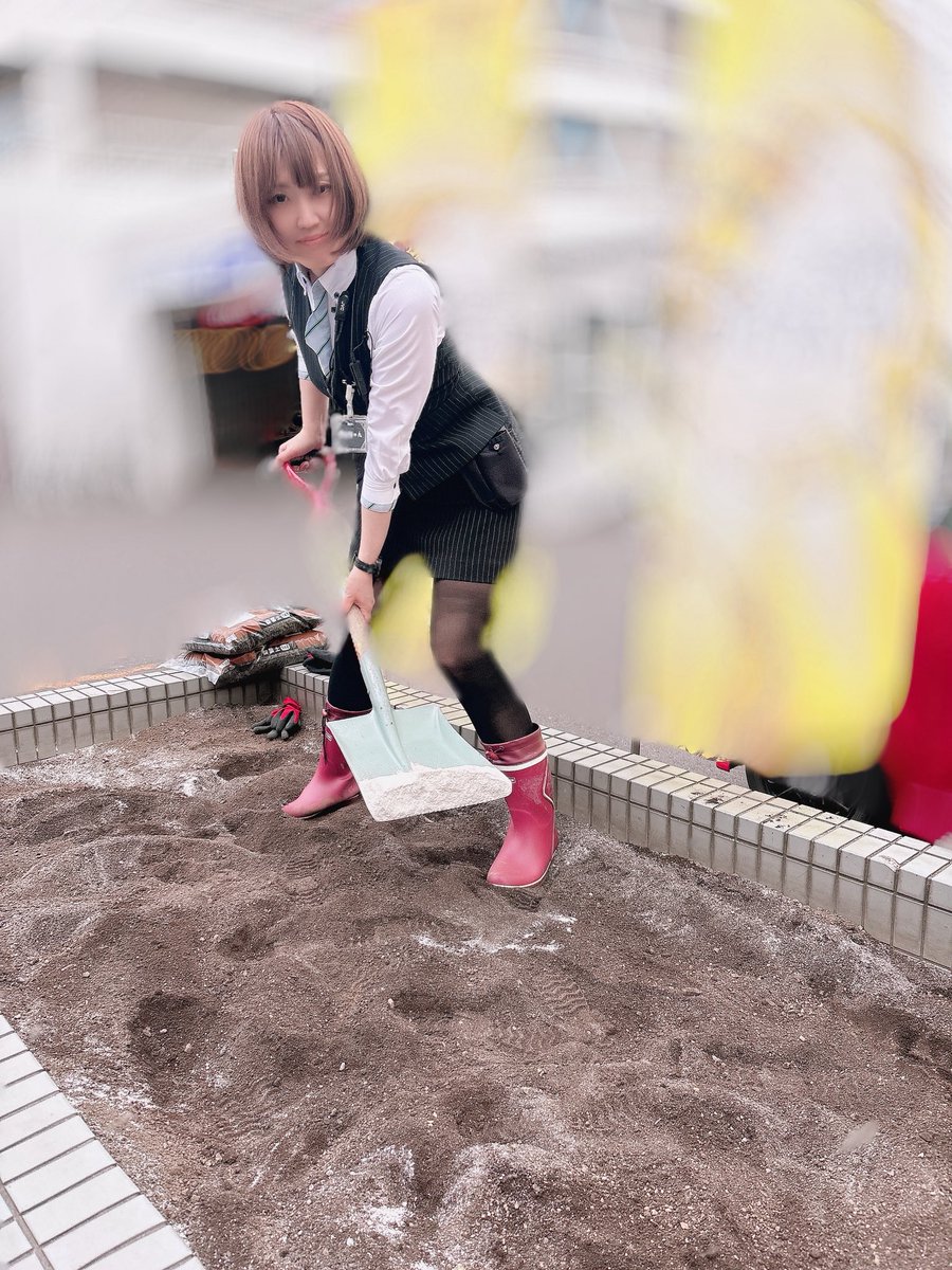 もんちゃん🌻ひまわりファイターズ通り店 (@HimawariFight) / Posts