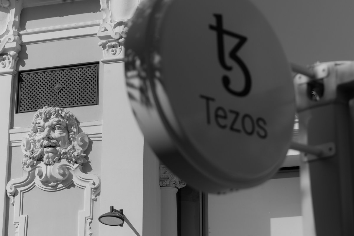 XCOLLABZ tweet media