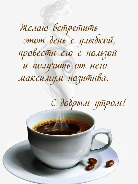Диля Ходжаева tweet media