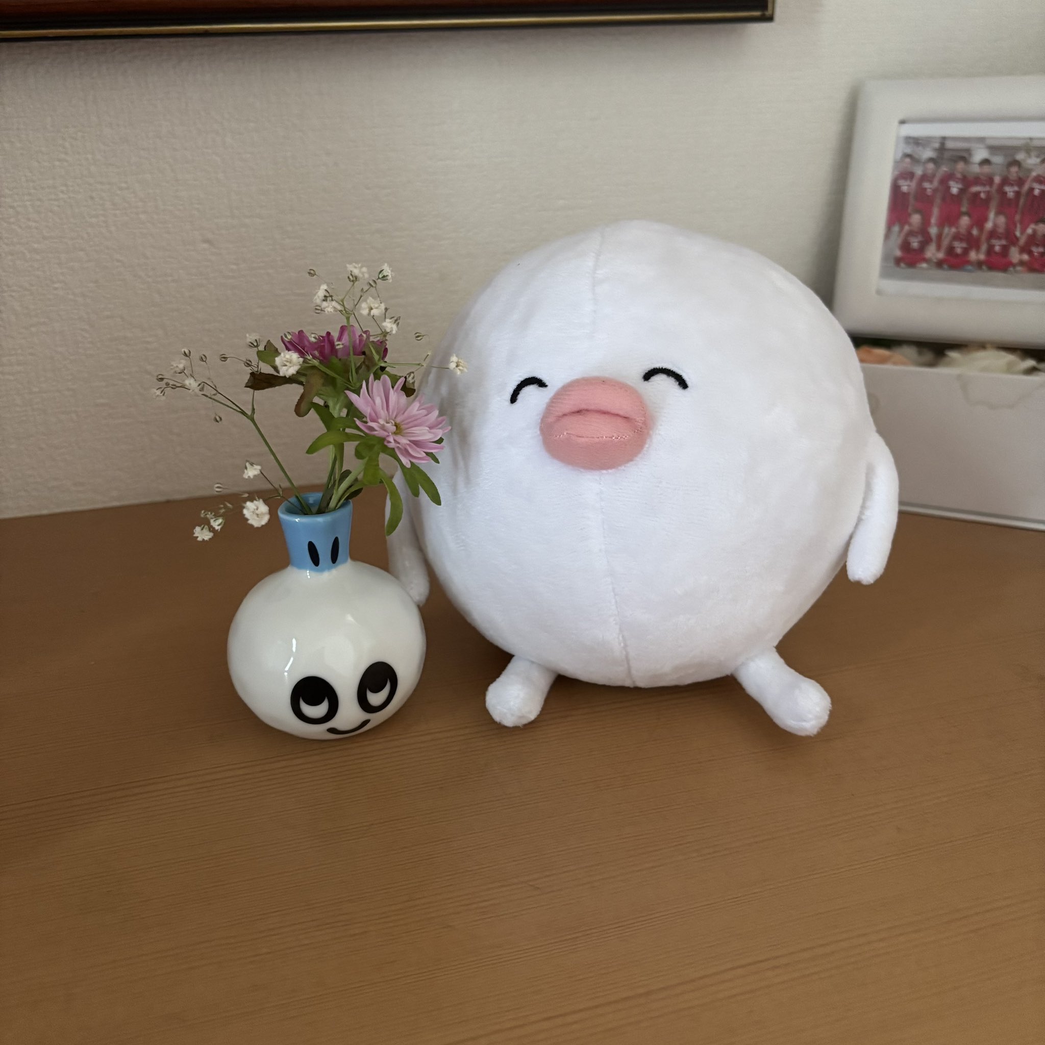 はぐちさん ぬいぐるみ (1)はぐちさん/(2)じゅみょう : トータス